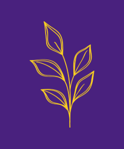 NIFA Competitive Grant Opportunities